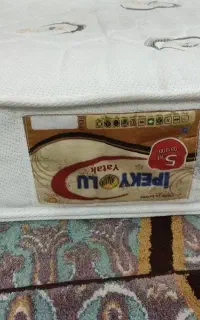 دوشگ