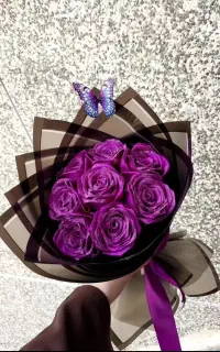 رز جاودان