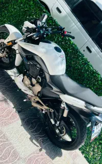 زونتس