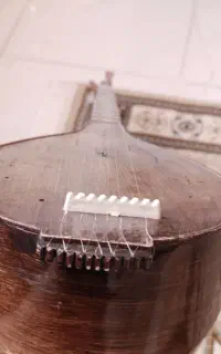 سه تار سالم