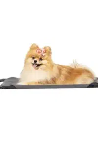 استند سگ