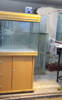 ۵۰ آکواریوم بزرگ حدود ۱ متر وبزرگ وکوچک(متنوّع)