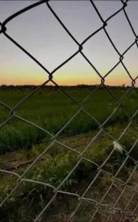 فنس کشی - بنایی - جوشکاری