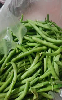 لوبیا سبز