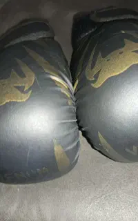 دستکش بوکس در حد