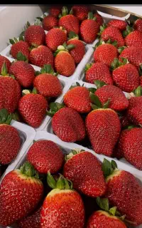 مربای توت فرنگی خانگی