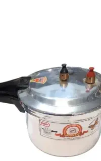 دیگ زودپز 10لیتری طرح پروانه