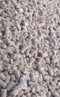خوراک