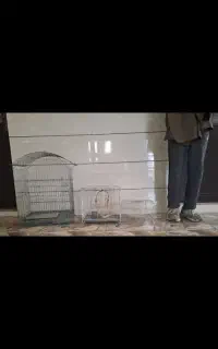 قفس پرنده بهاران