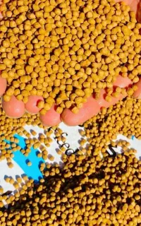 خوراک ماهی