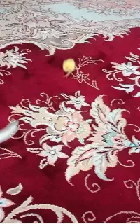 فرش ماشینی ۱۲ متری