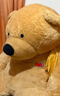 خرس بسیار بزرگ در حد نو خارجی