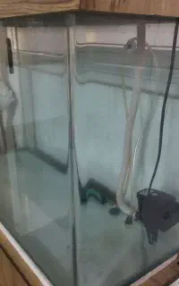 آکواریوم شیشه خم