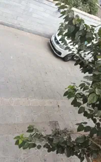 پارکینگ اختصاصی خودرو