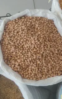 نخود
