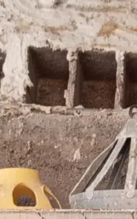 دونخوری آبخوری کفتر