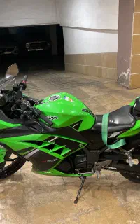 Ninja 300