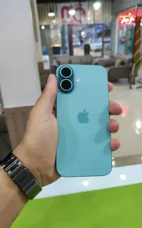16Normal