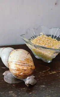 خاویار خزنده