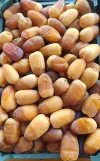 رطب کبکاب عسلی درجه یک