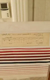 زبرا در حد نو
