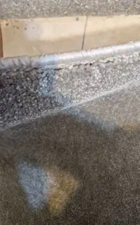 پالاز موکت ۱۴ متر حدودا