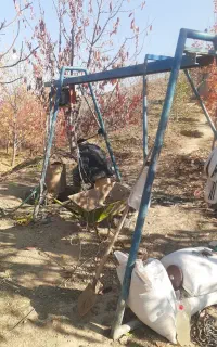 چاه کن و چاه کنی و حفر چاه