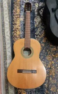 گیتار کارولی g 50