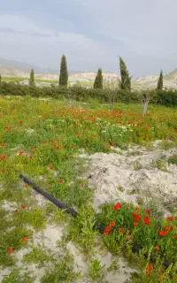 کارگر ساده