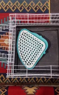 قفس خرگوش