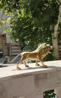 شیر برنزی ورق بزن