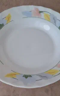 بشقاب آرکوپال