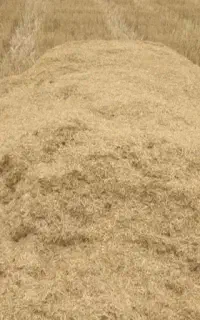 فروش کاه آبی