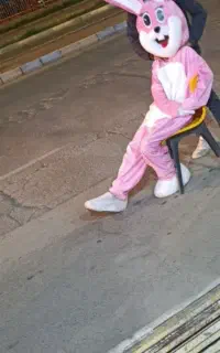 اجاره تن پوش  خرگوش