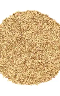 بذر یونجه درجه ۱ فوق العاده