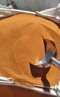 خاکشیر تازه شیراز