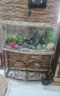 آکواریوم