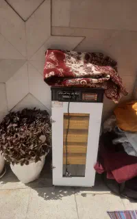 دستگاه جوجه کشی هدایت ۲۱۰تایی