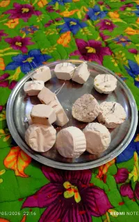 سنگ کلسیم پرنده