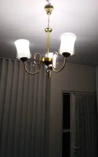 لوسترسه شاخه