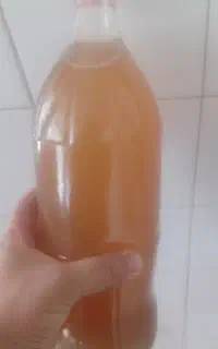 ابغوره  درجه یک