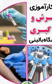 استخدام نیروی پذیرش و نمونه گیری