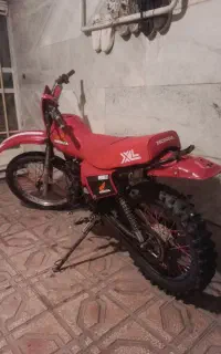 کراس و تریل