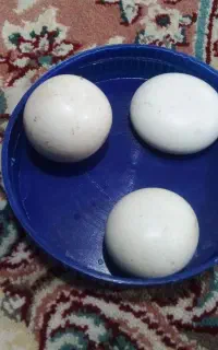 اشیاء با ارزش