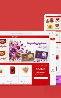 طراحی سایت،اپلیکیشن و سامانه‌های تحت وب+سئو تضمینی
