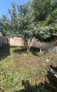 زمین ۱۲۰متری با دسترسی ب تاکسی