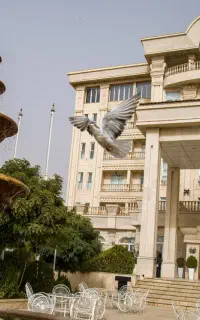 سالندار  و قلیان زن آقا