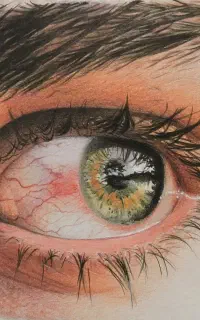 آموزش نقاشـی حرفـه ای