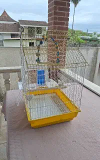قفس پرنده