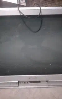 تلوزیون سالمه